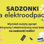 Akcje wymiany elektroodpadów na sadzonki